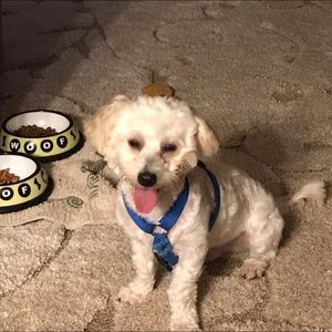 Meet your Posher, Daniel